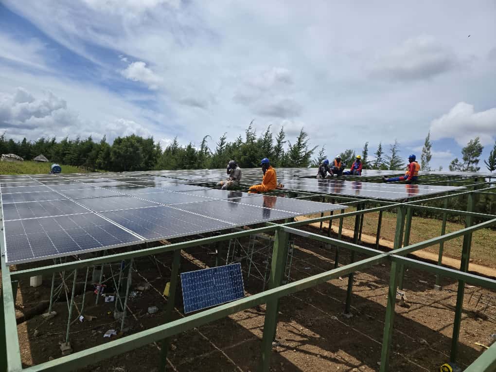 Farm — Dairy — Muhoroni